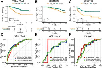 mtPCDI: a machine learning-based prognostic model for prostate cancer recurrence